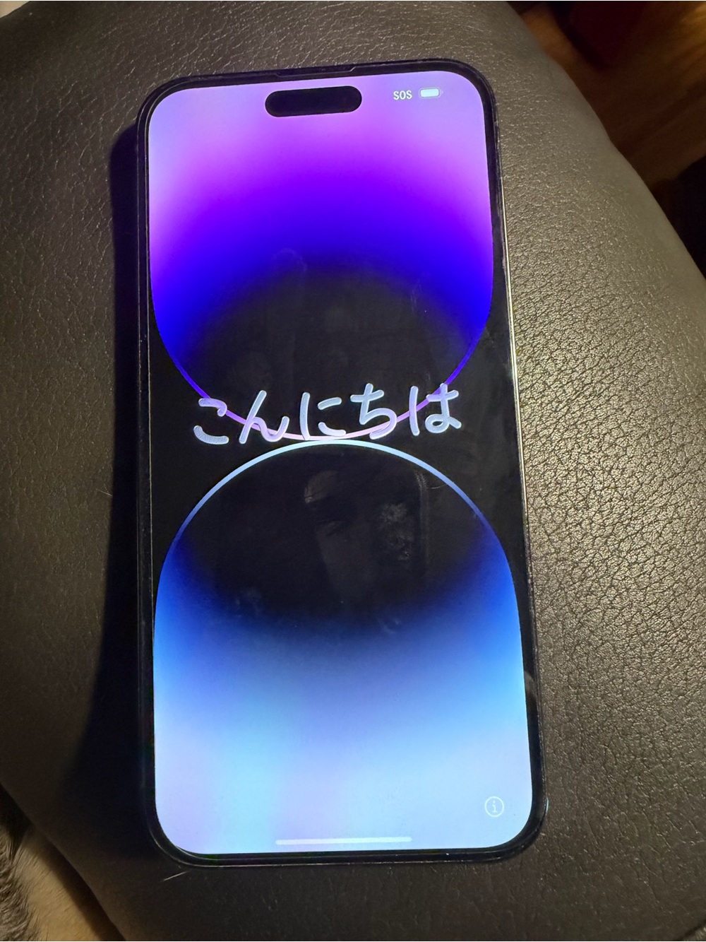 Apple iPhone 14 Pro Max with Purple